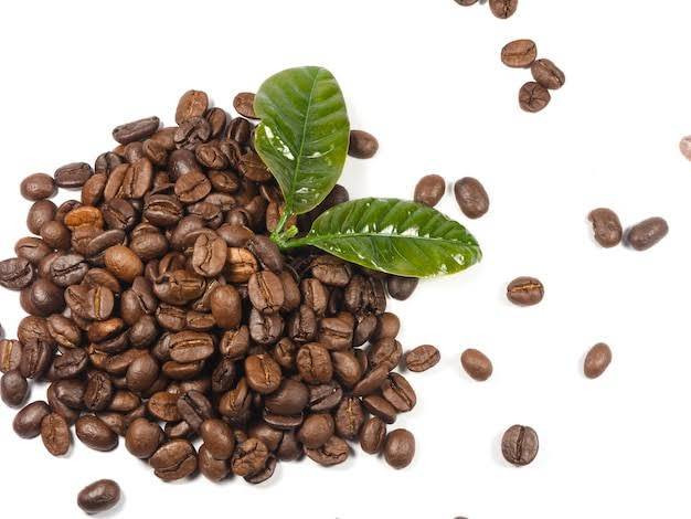 پودر قهوه بلند روبوستا پی بی 90% - عربیکا اوگاندا 10%
